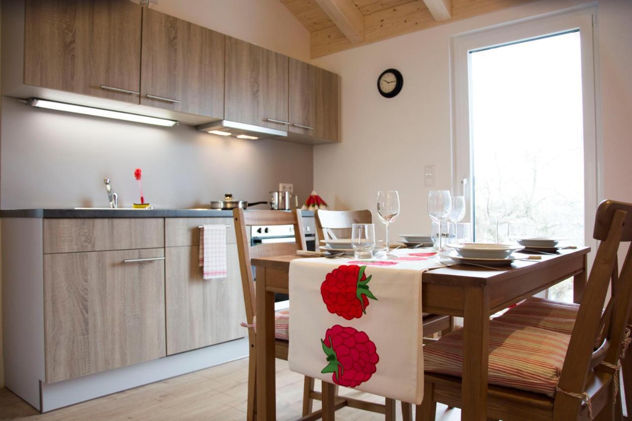 Appartment Vogel Ferienwohnungen Zirndorf Esterno foto